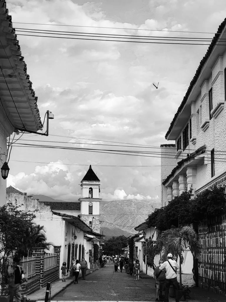 All day Medellin or Surroundings