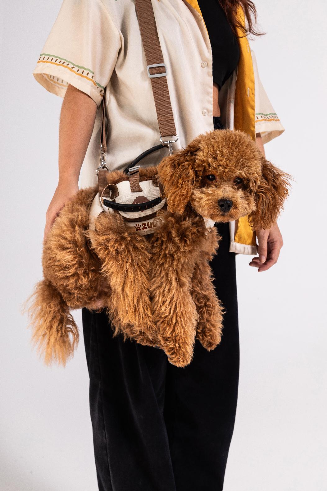 Fashionable Pet Bag Harness