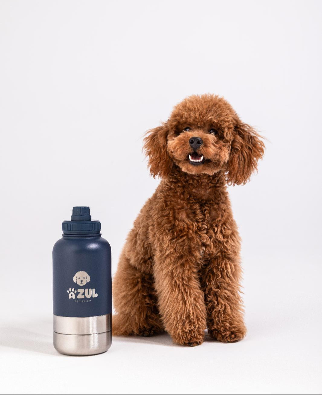 Stainless Steel Water Bottle with Bowl