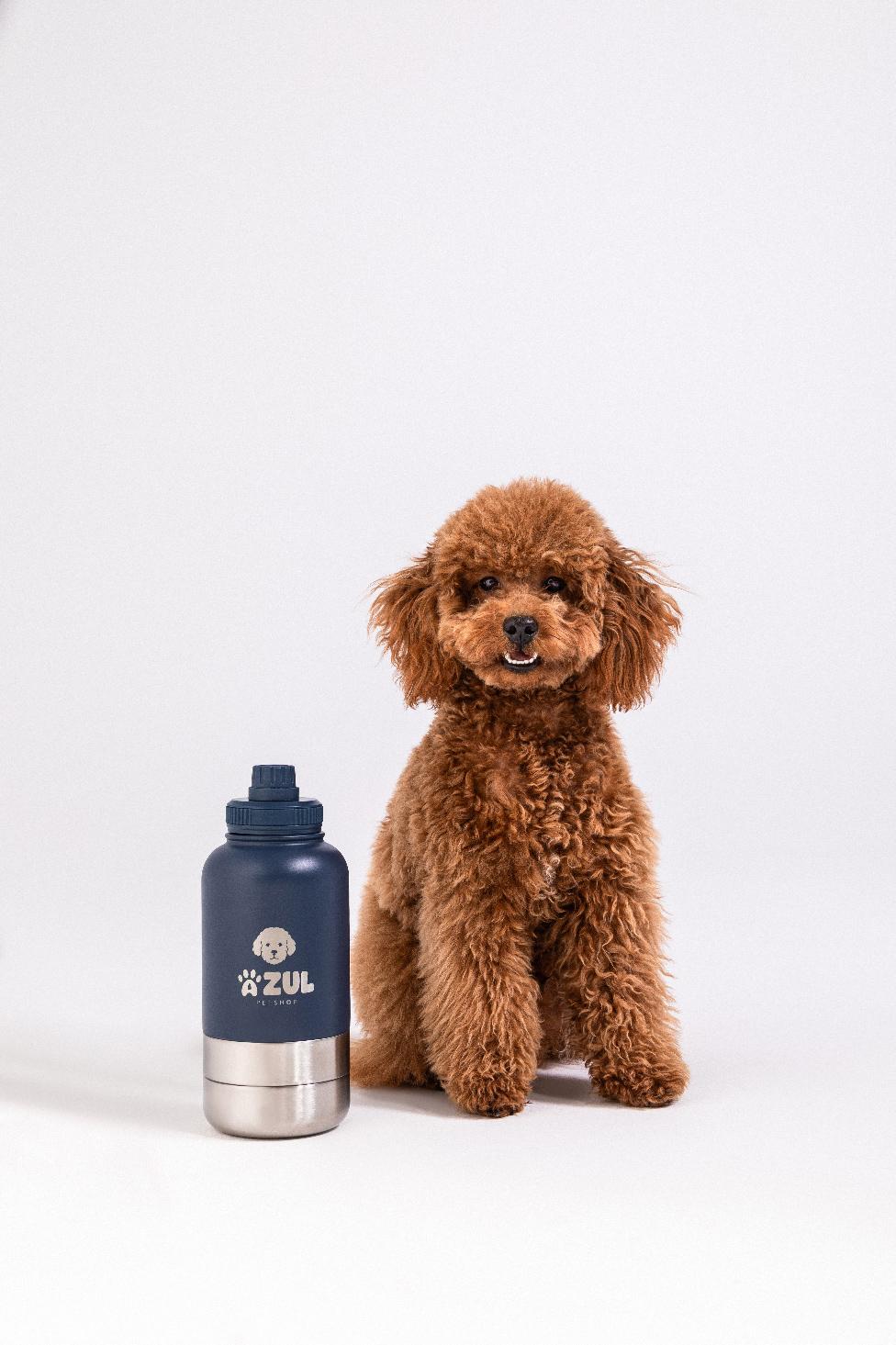 Stainless Steel Water Bottle with Bowl