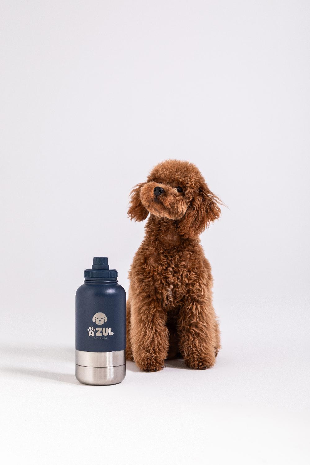 Stainless Steel Water Bottle with Bowl