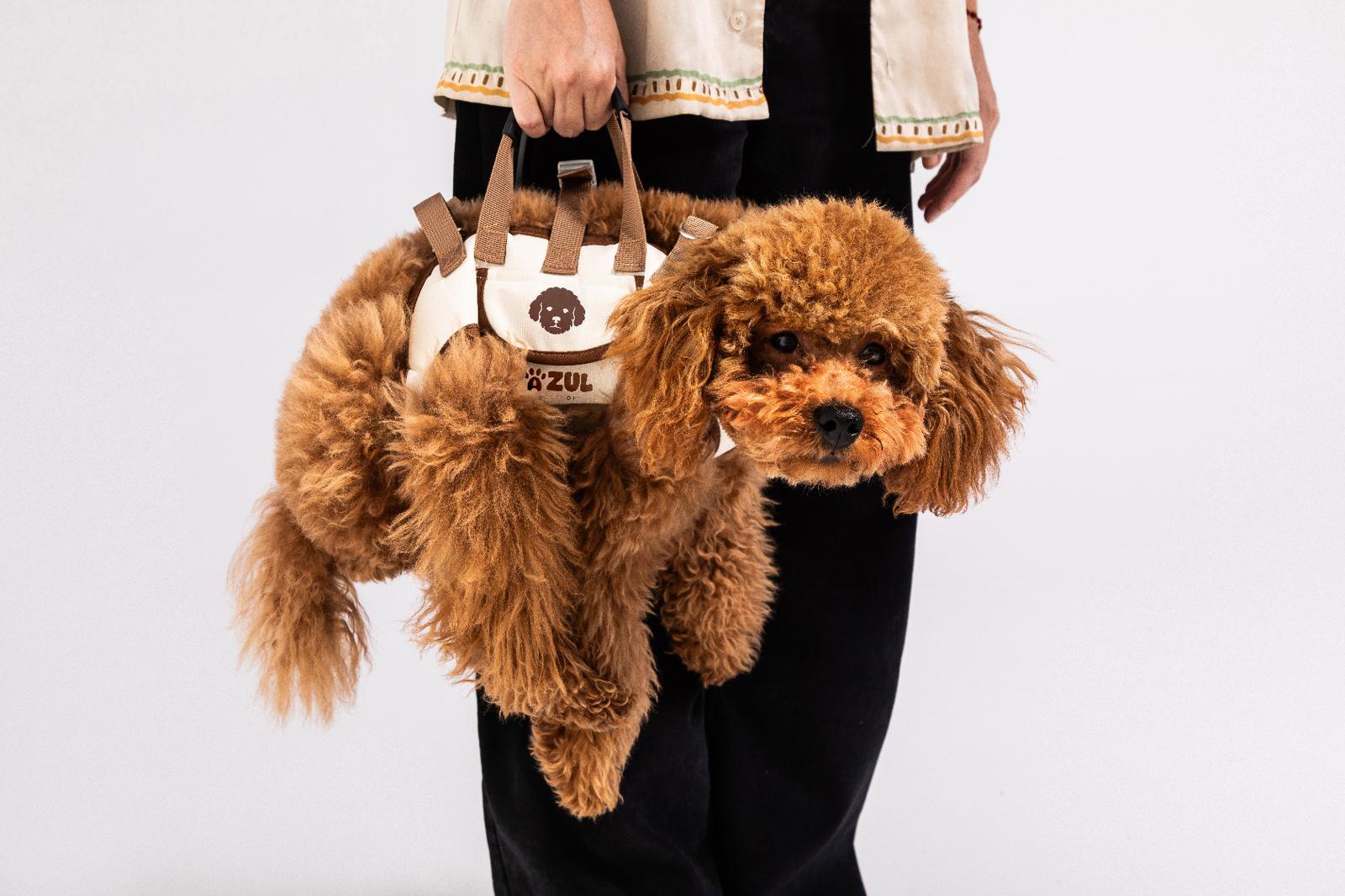 Fashionable Pet Bag Harness
