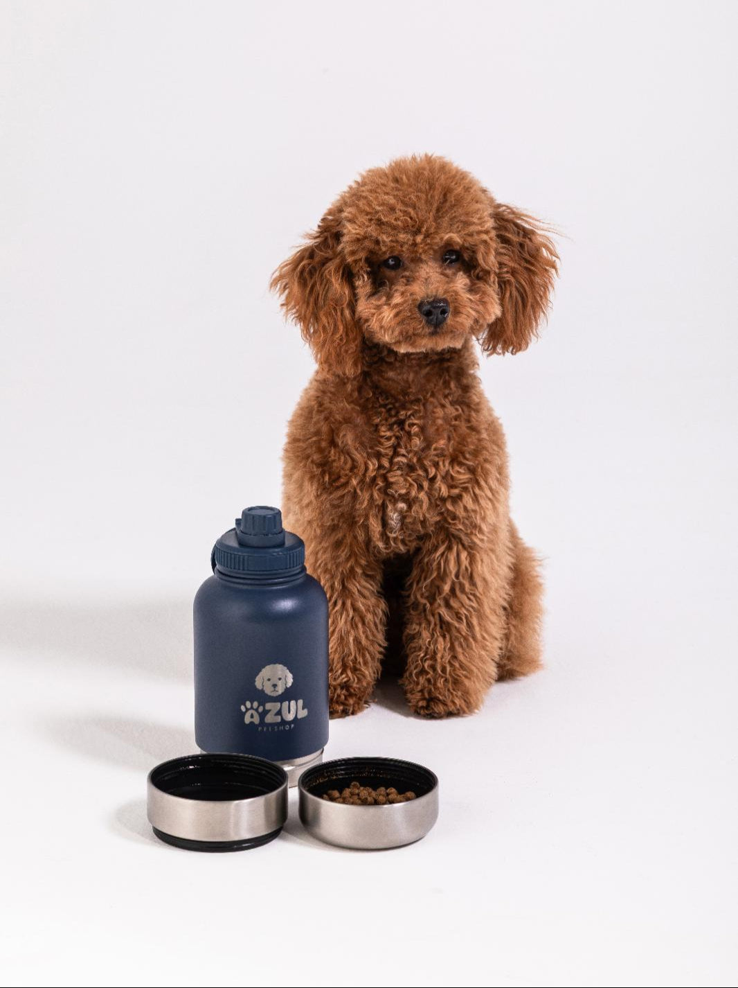 Stainless Steel Water Bottle with Bowl